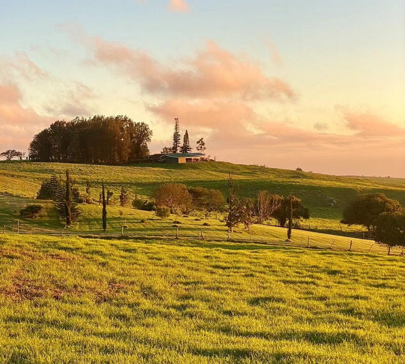 Exploring the USA in 2023 Spring - 9 Must-Visit Destinations