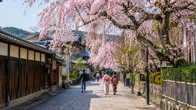 Best Time to Travel to Japan: Weather, Seasons, and What to Pack